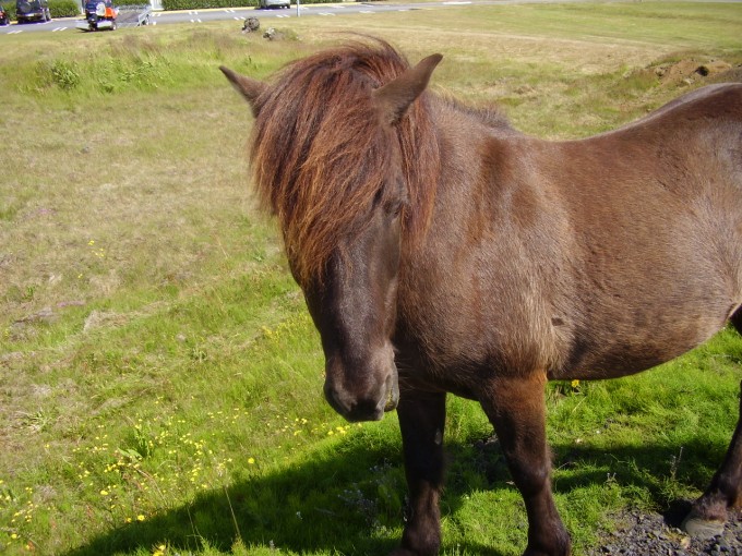 Trykk for større bilde.