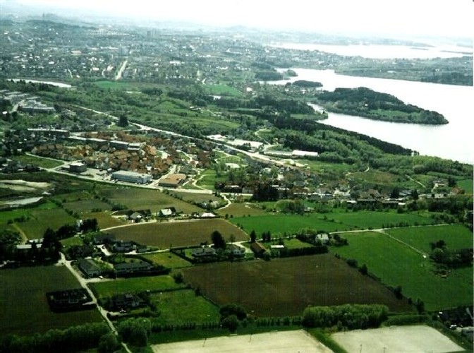 Tastarust