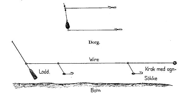 Dorg