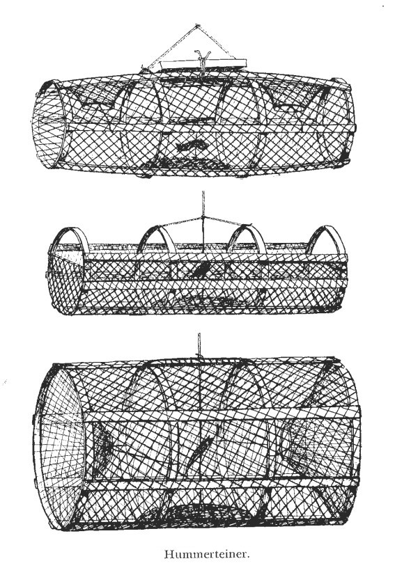 Hummerteiner